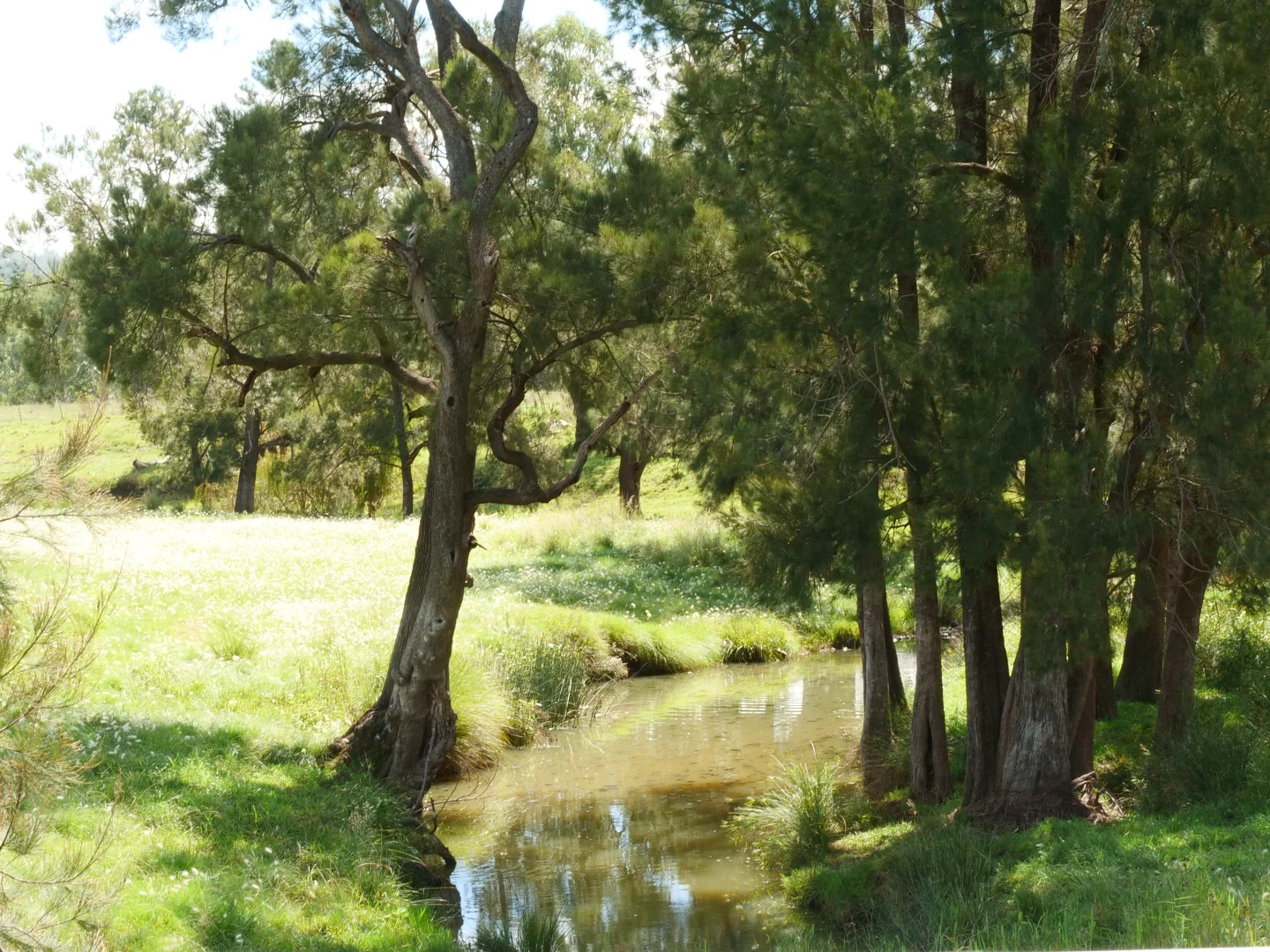 Additional image 25 of "Rivendell" 698 Woodstock Road, Inverell NSW 2360