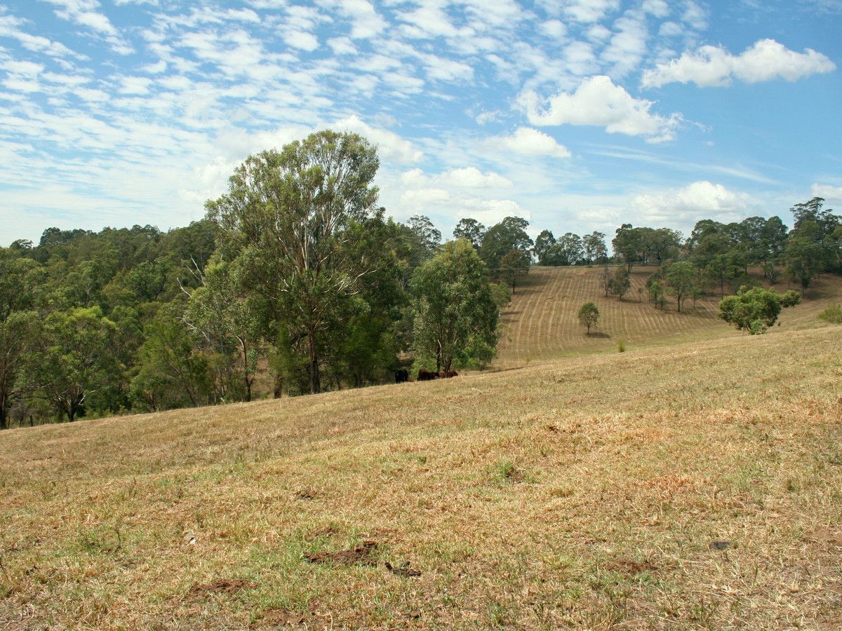 L320 Marrowbone Road, Pokolbin NSW 2320, Image 2