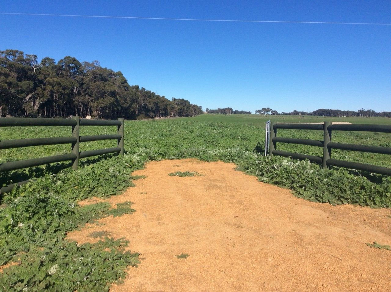 P/Lot 201 Boundary Road, Cowaramup WA 6284, Image 1