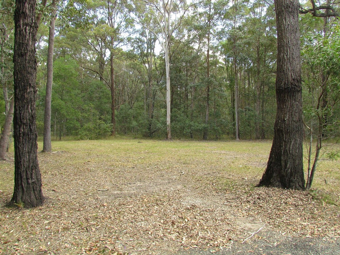 Lot 201 Emu Drive, Woombah NSW 2469, Image 0