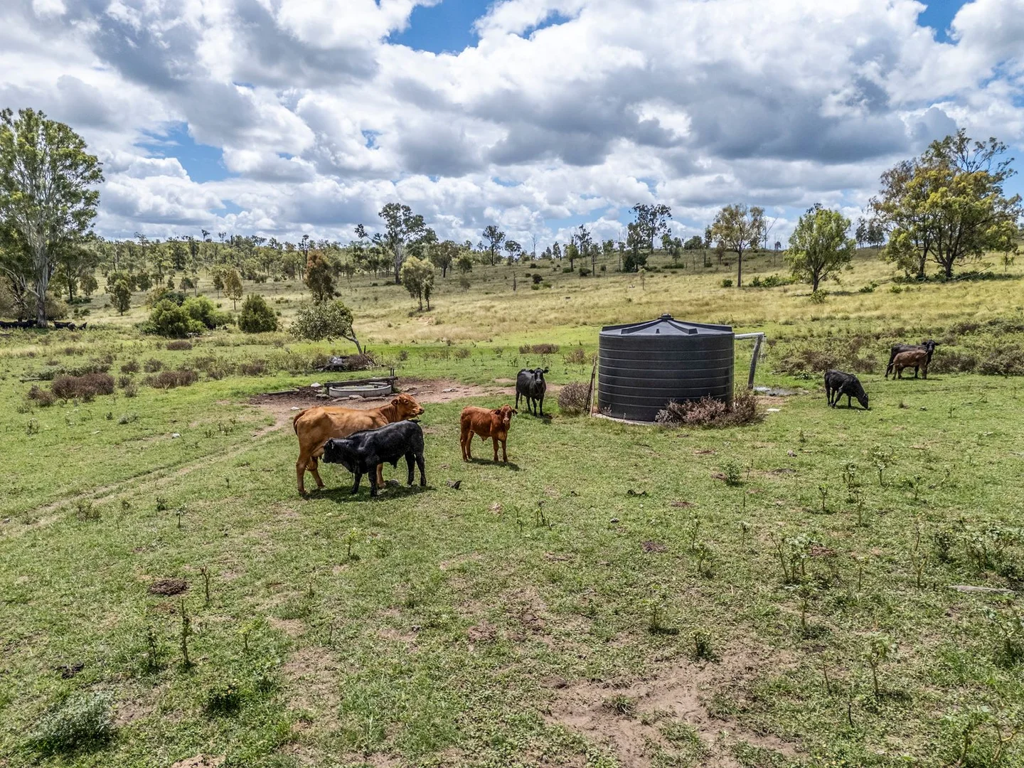 Additional image 10 of L63 & L99 Summers Road, Ginoondan QLD 4625