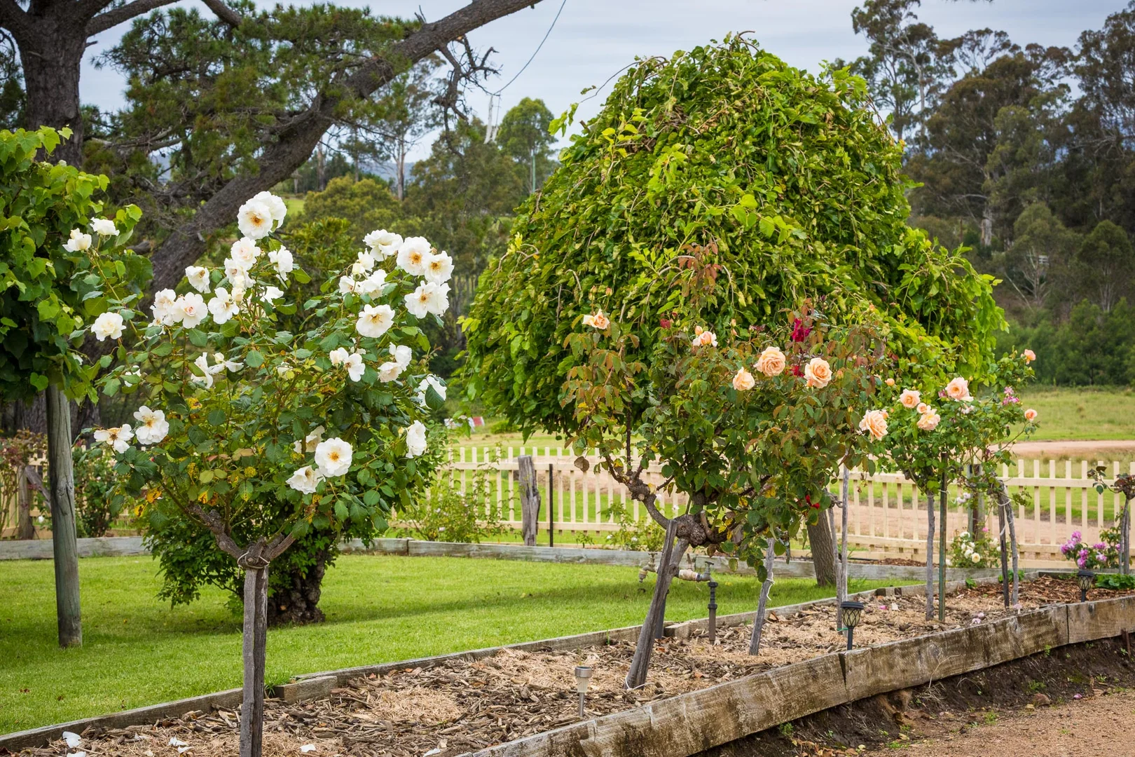 Additional image 52 of 286 Bald Hills Road, Bald Hills NSW 2549
