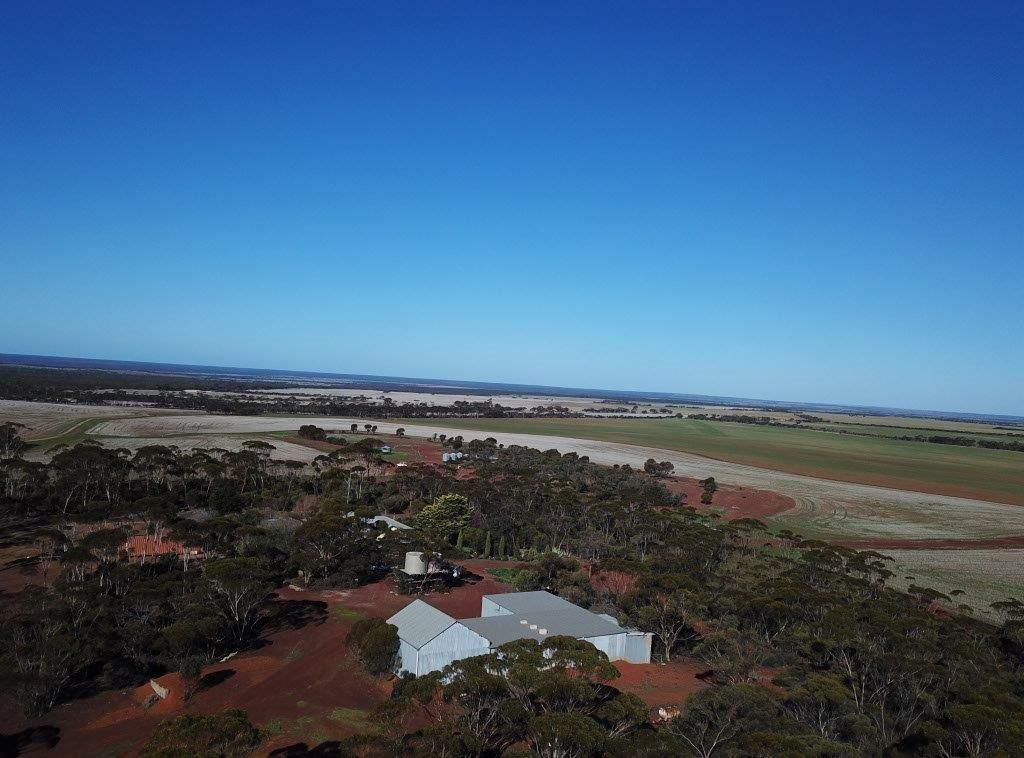 2244 Calzoni Road, Woolocutty WA 6369, Image 0