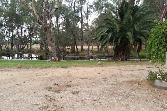 Picture of 188 North Barham Road, BARHAM NSW 2732