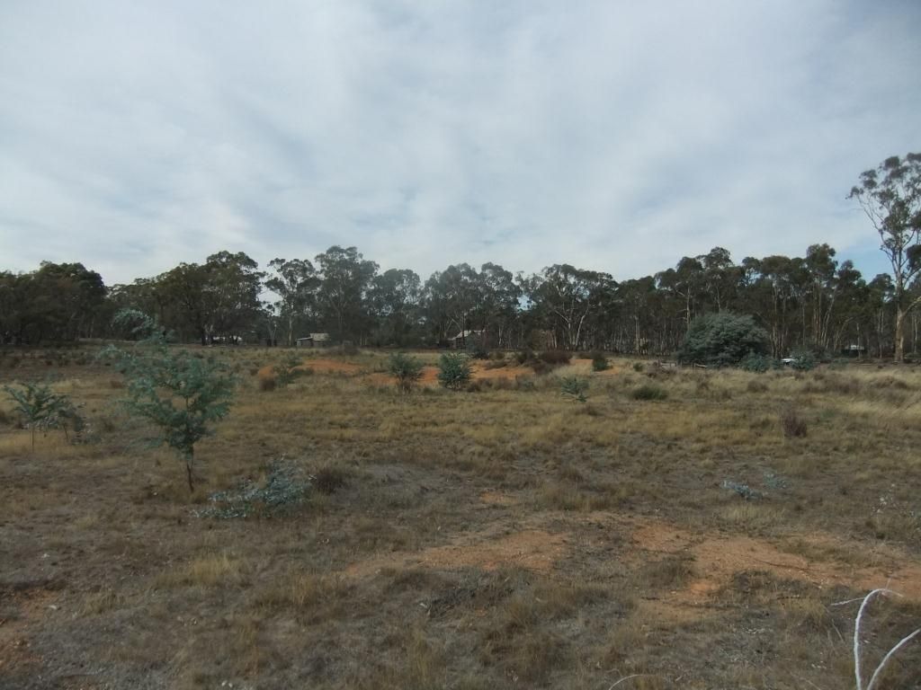 * High Street, Moliagul VIC 3472, Image 0