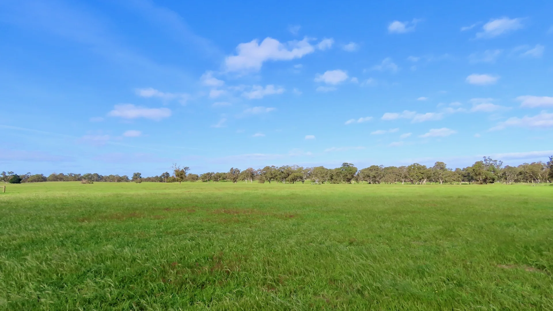 Image 15