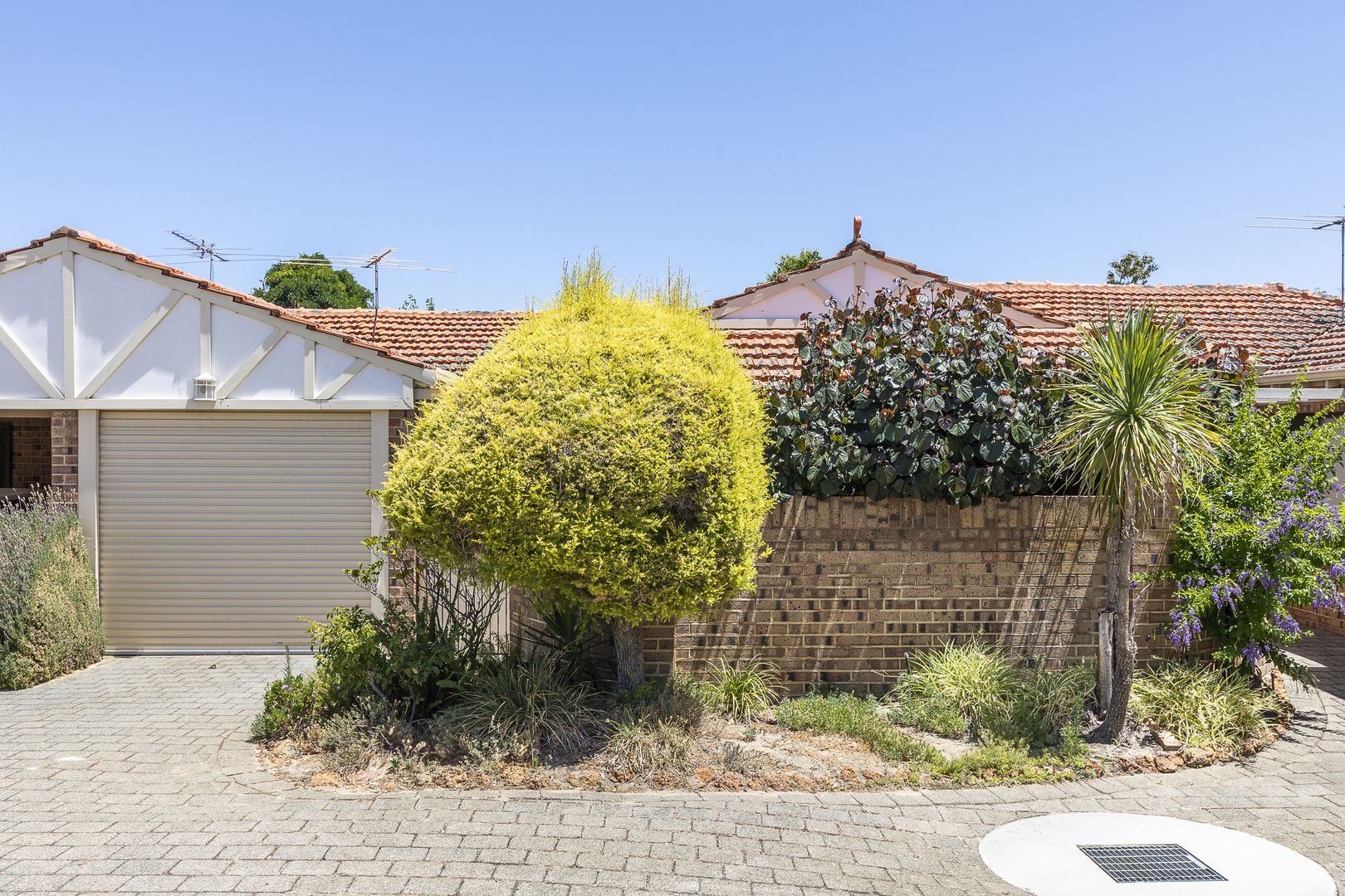 3/19 Field Street, Mount Lawley WA 6050, Image 1