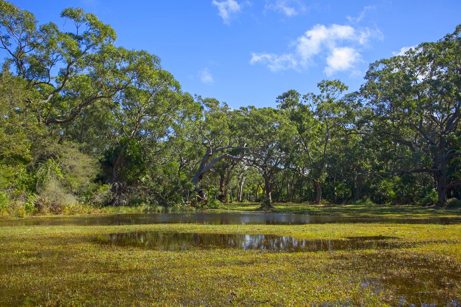 33 Brighton Street, BUNDEENA NSW 2230, Image 2