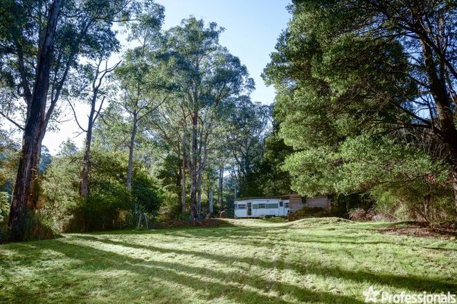 Picture of 51 Fisherman Drive, REEFTON VIC 3799