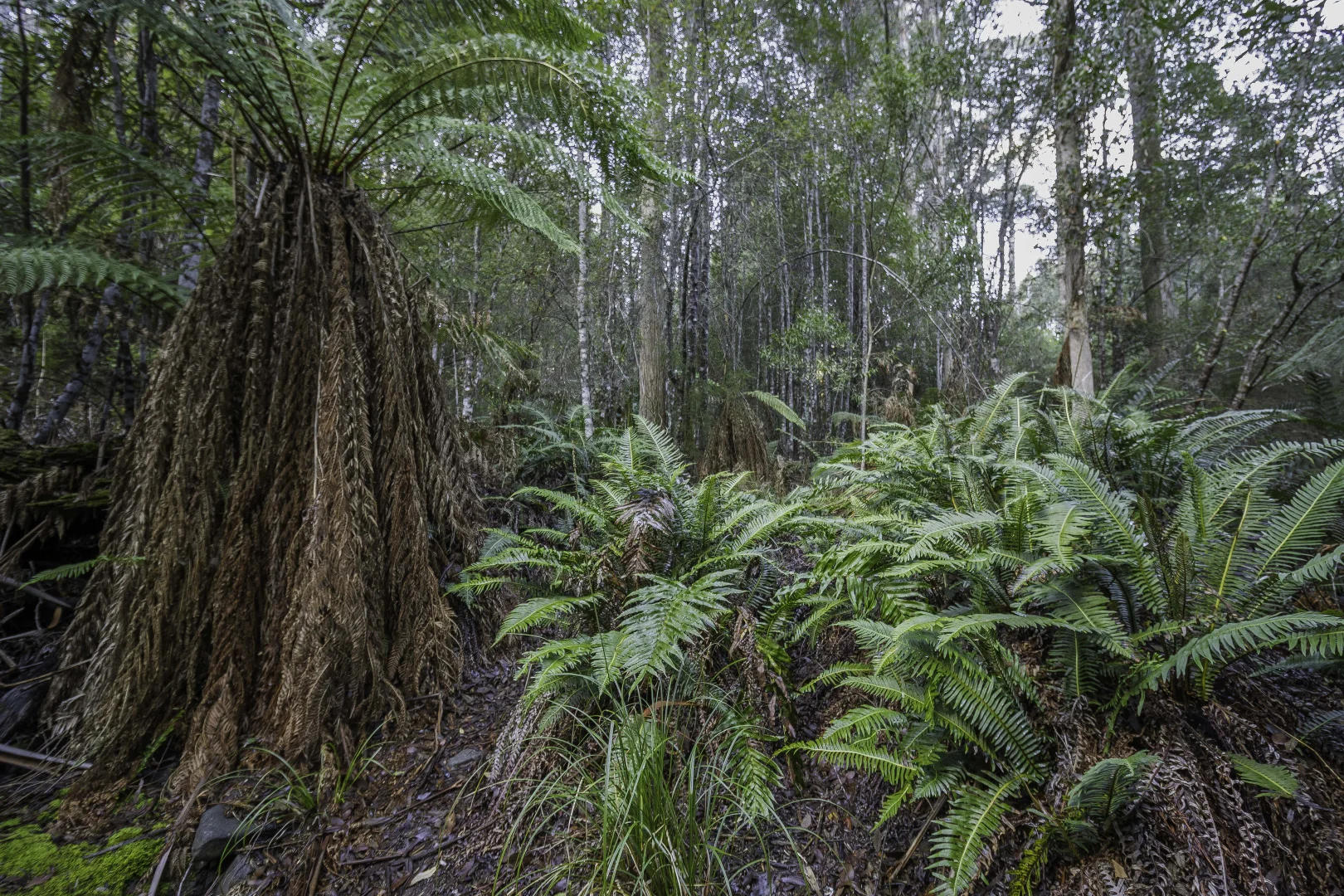 Image 10