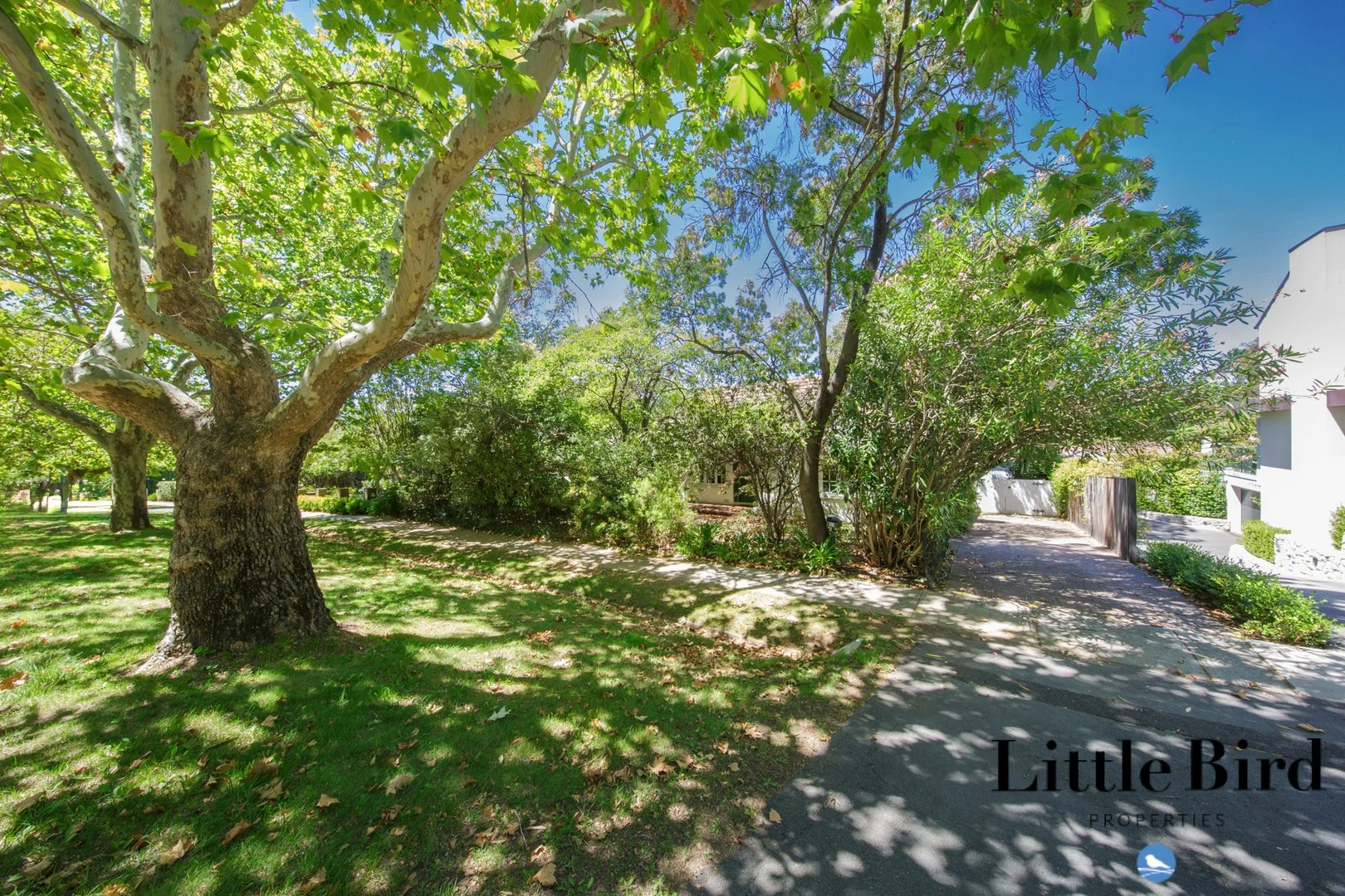 Additional image 14 of 31 Arthur Circle, Griffith ACT 2603