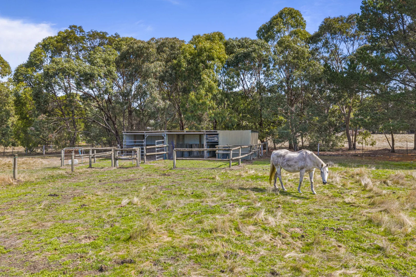 Additional image 31 of 155 Waddell Road, Smythes Creek VIC 3351