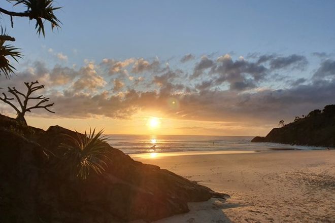 Picture of 32 Grass Tree Circuit, CABARITA BEACH NSW 2488