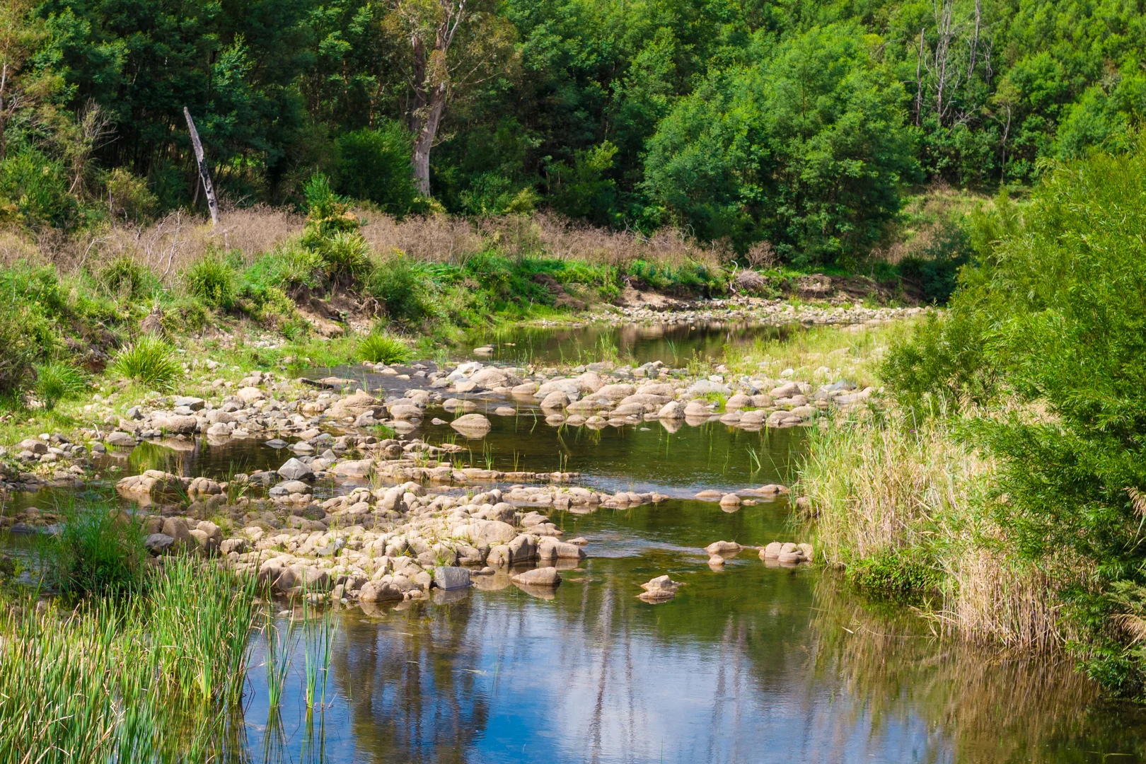 Additional image 2 of 614 New Buildings Road, Wyndham NSW 2550