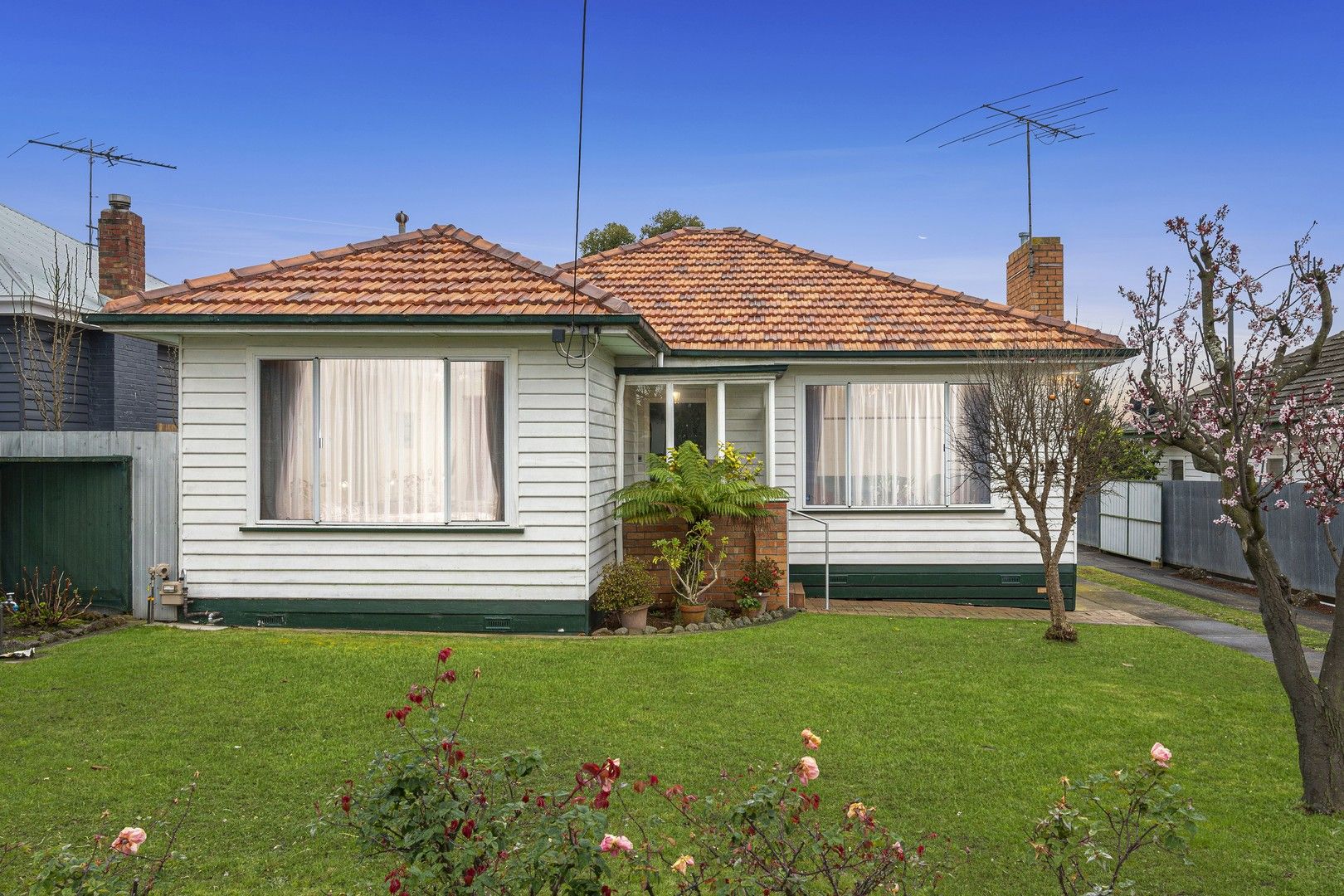 3 bedrooms House in 8 Langibanool Avenue HAMLYN HEIGHTS VIC, 3215