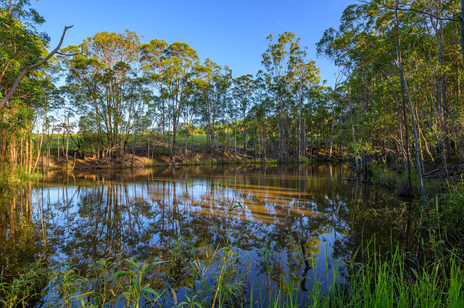 Additional image 29 of 226 Tandur Traveston Road, Traveston QLD 4570