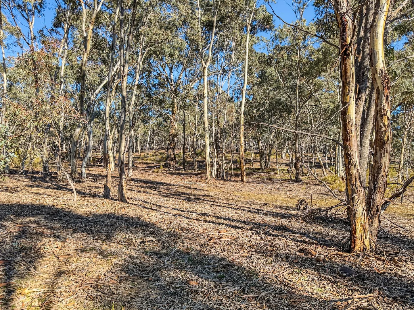 Image 11