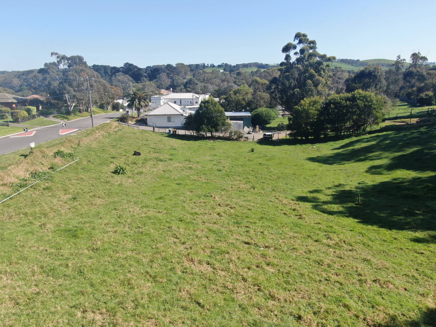 Image 6