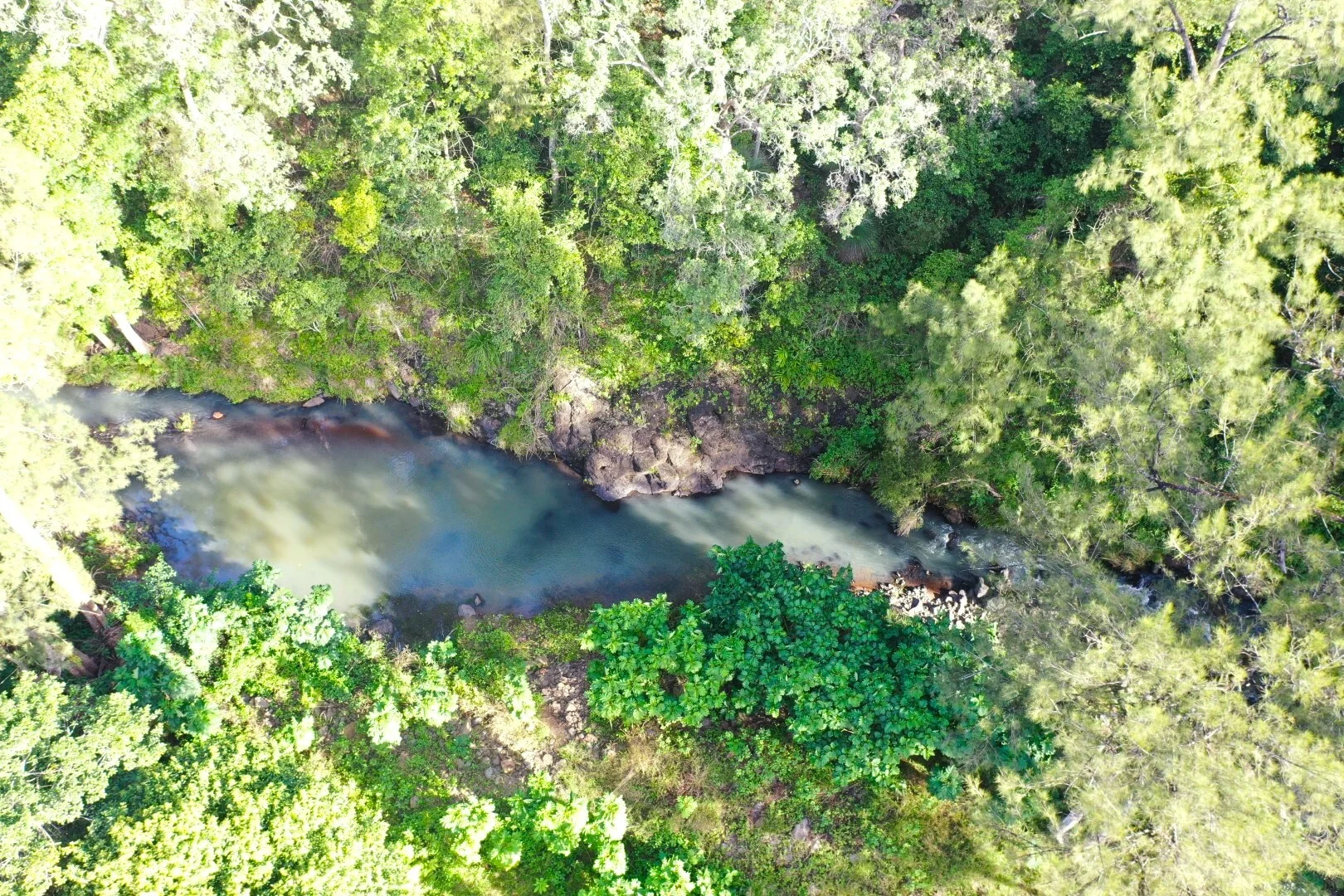 Image 10