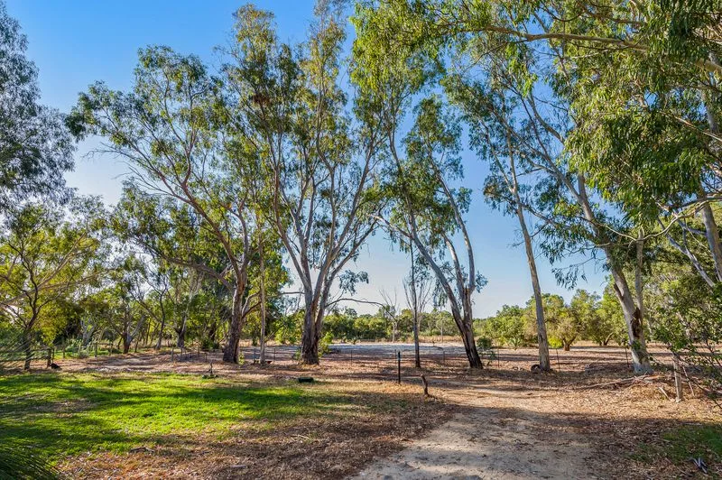 Additional image 8 of 17 Blackboy Court, Woodridge WA 6041