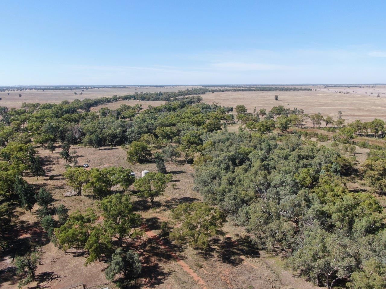 'Belahlee' 316 Clargo Road, Burcher NSW 2671, Image 1