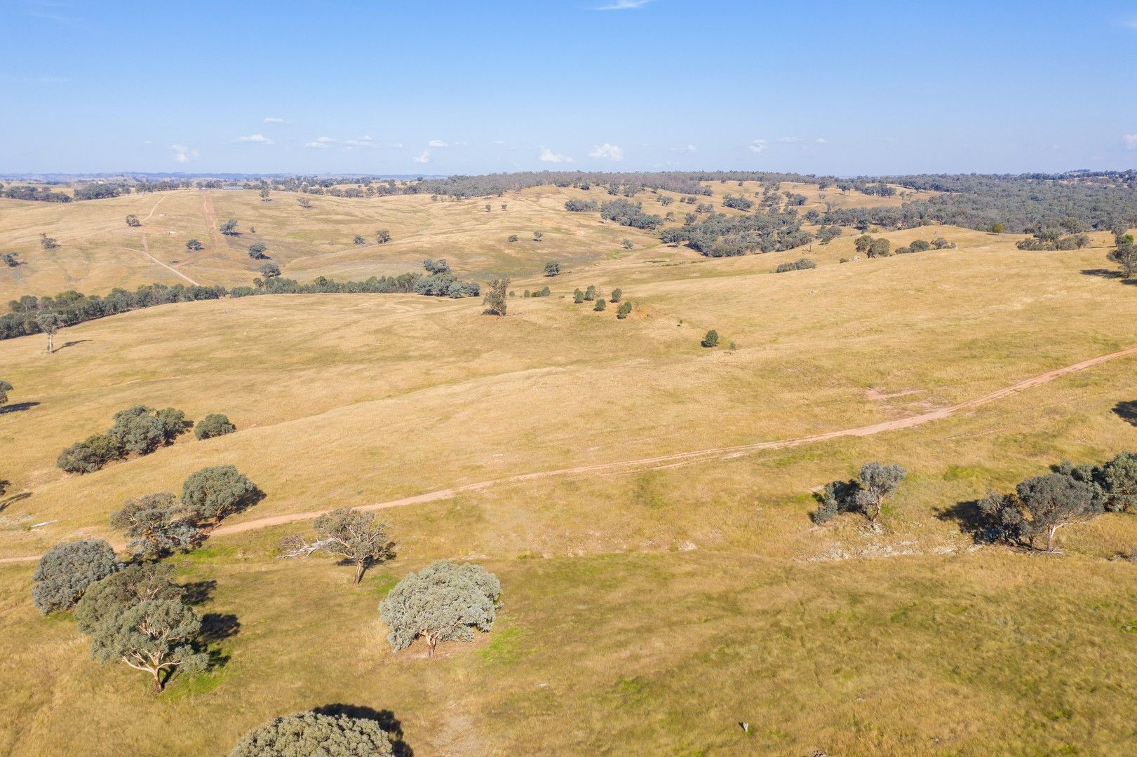 347 Sheridan Park Road, Boorowa NSW 2586, Image 0