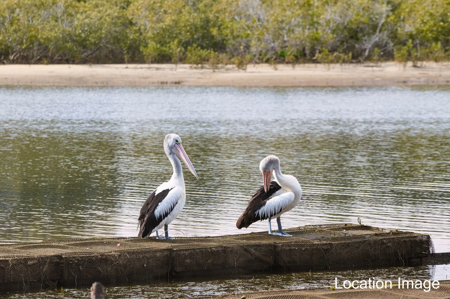 Additional image 7 of 42 Janggal Janggal Road (Lot 115 Bellbird), Nambucca Heads NSW 2448