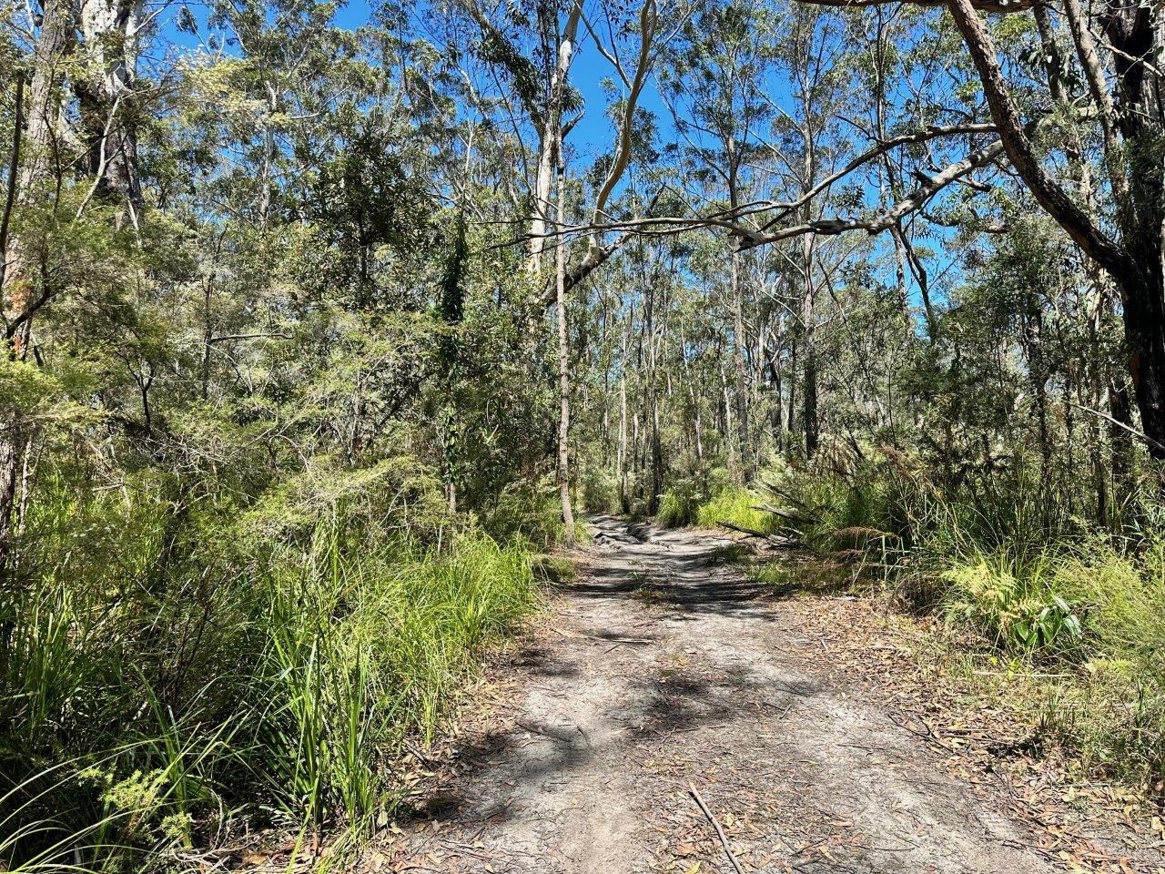 Lot 13 Sunnyside Avenue, Woollamia NSW 2540, Image 1