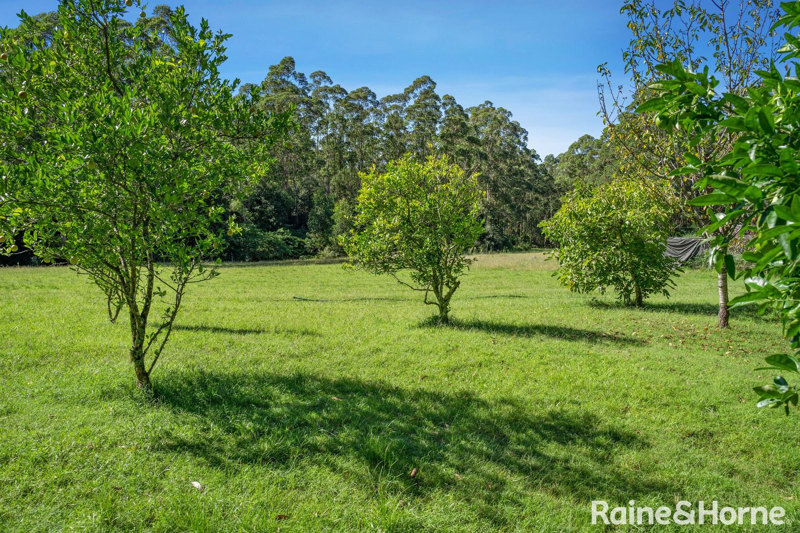 216 Jacks Corner Road, Kangaroo Valley NSW 2577, Image 2