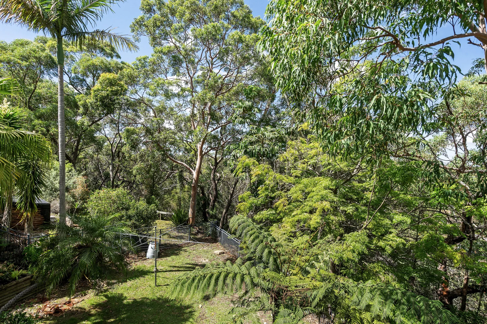Image 8