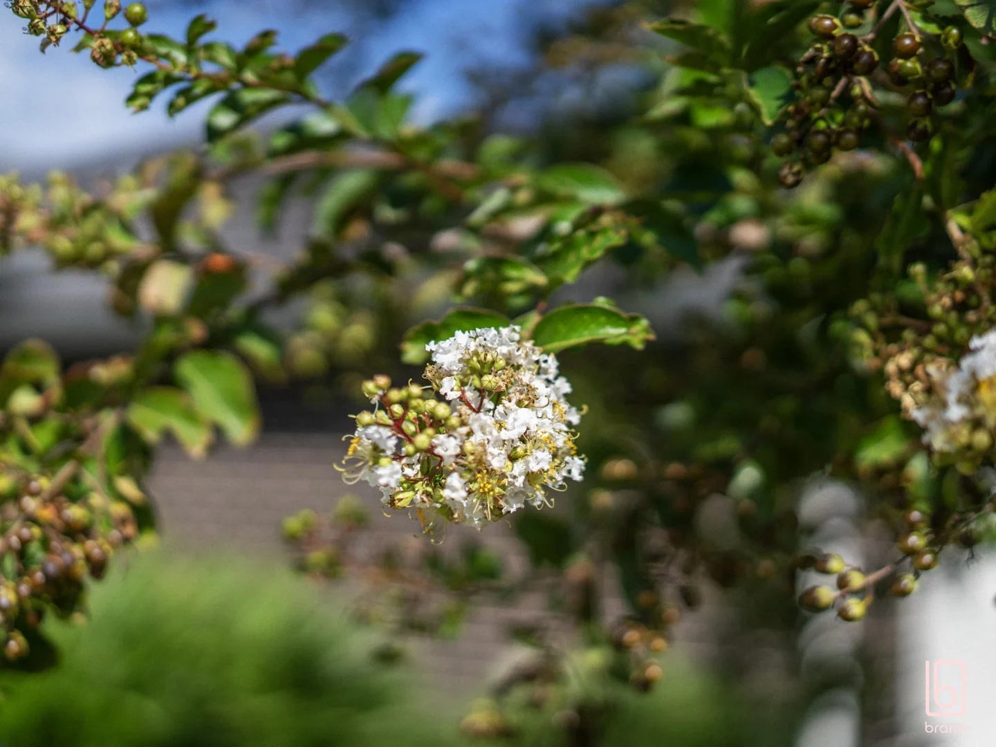 Additional image 7 of 24/14 Lomandra Terrace, Hamlyn Terrace NSW 2259