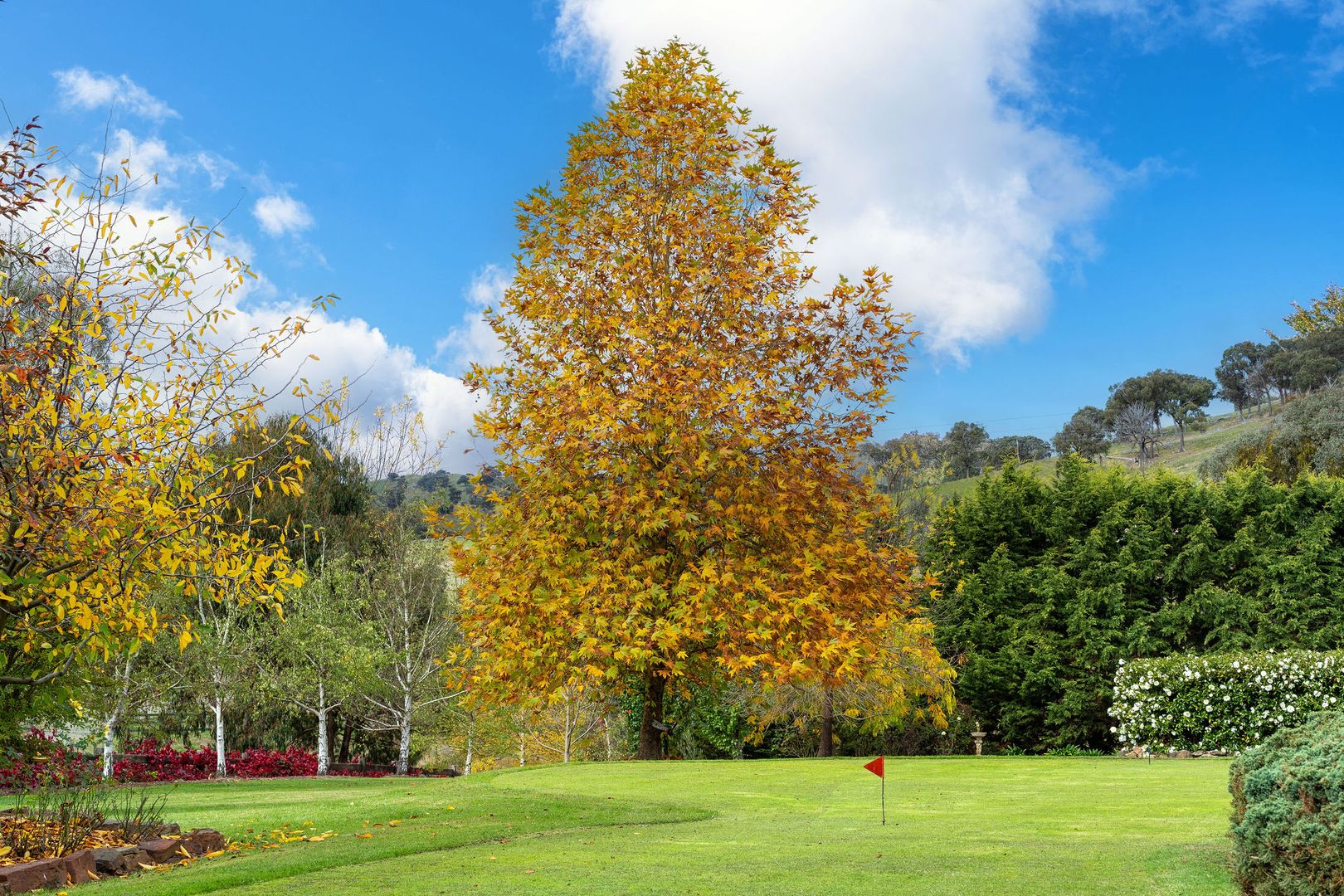 28 McIntyre Lane, Alexandra VIC 3714 House for Sale 1,600,000