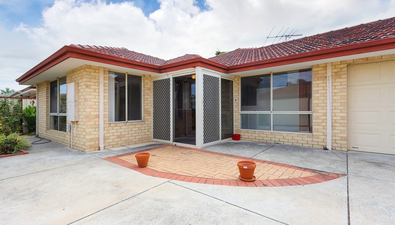 Picture of 255A Daly Street, BELMONT WA 6104