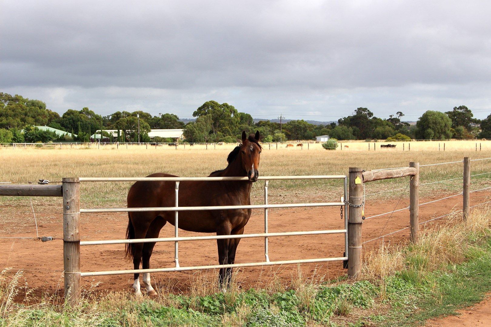 A10 Lines Road, Strathalbyn SA 5255, Image 0