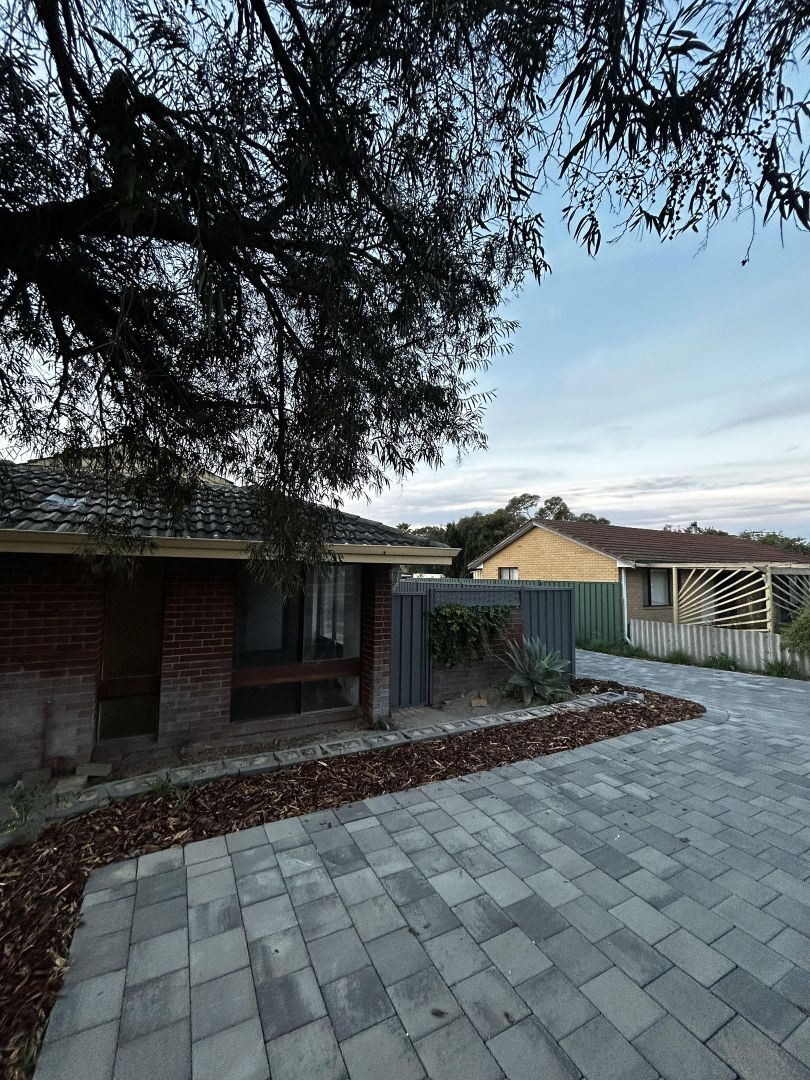 17 Seaflower Crescent, Craigie WA 6025 House For Rent Domain