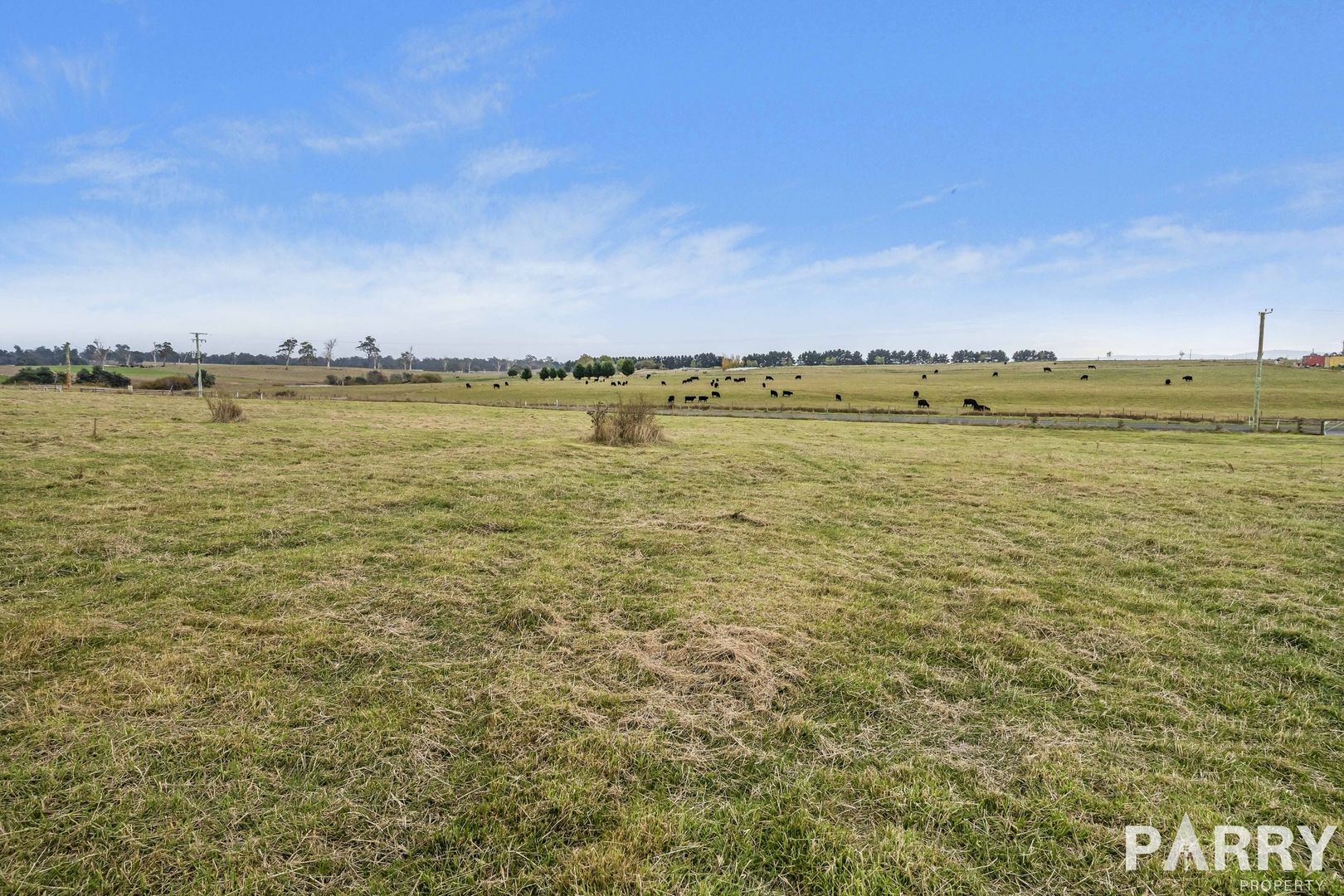 25 Poppy Lane, Carrick TAS 7291, Image 2