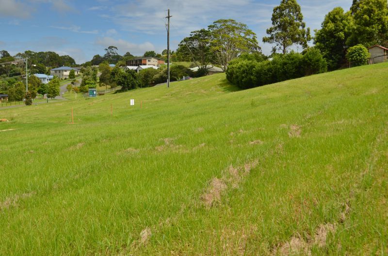 Lot 12 Greenfields Court, Maleny QLD 4552, Image 1