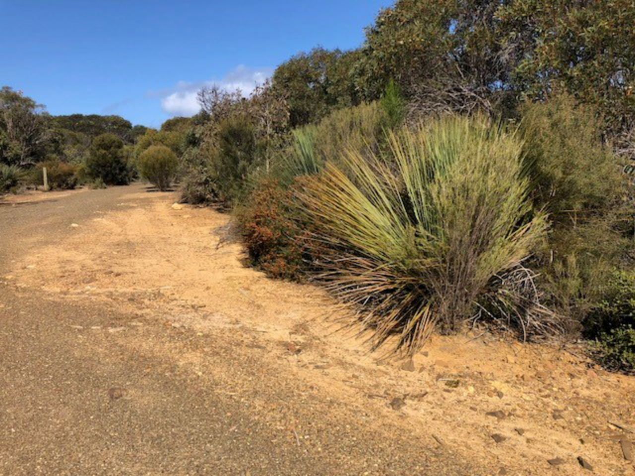 Lot 4 South Coast Road, Vivonne Bay SA 5223, Image 0