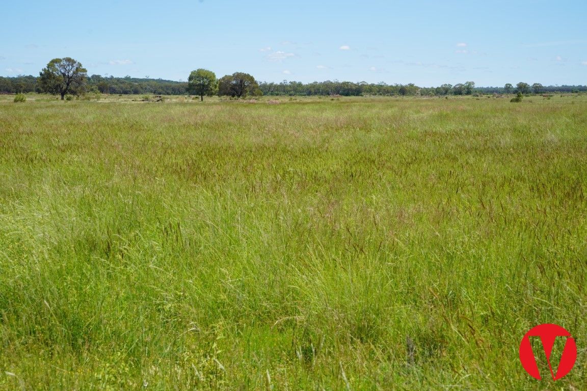 Tareela, Mungallala South QLD 4467, Image 1