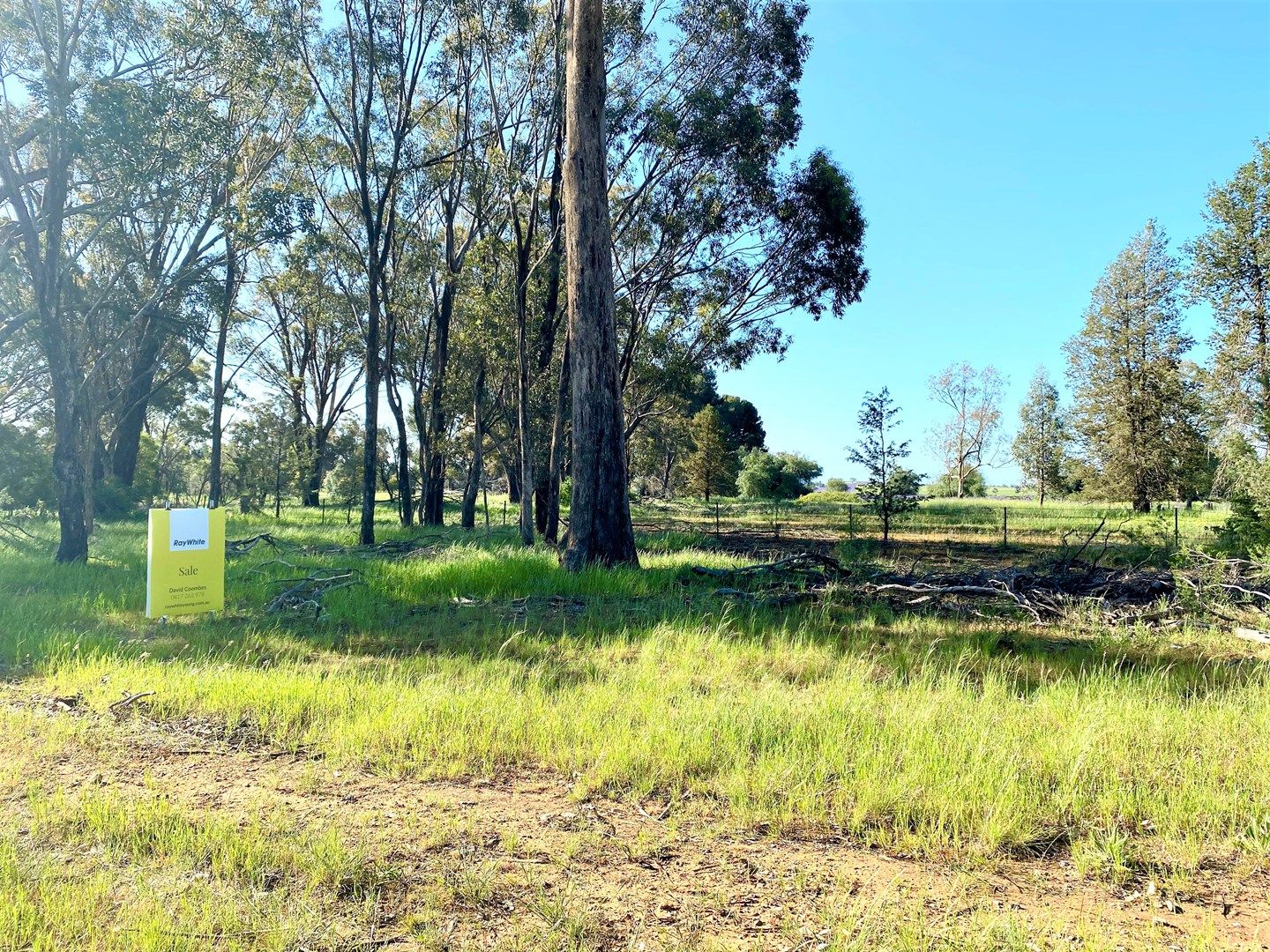 1696 Tubbul Road, Tubbul NSW 2594, Image 0