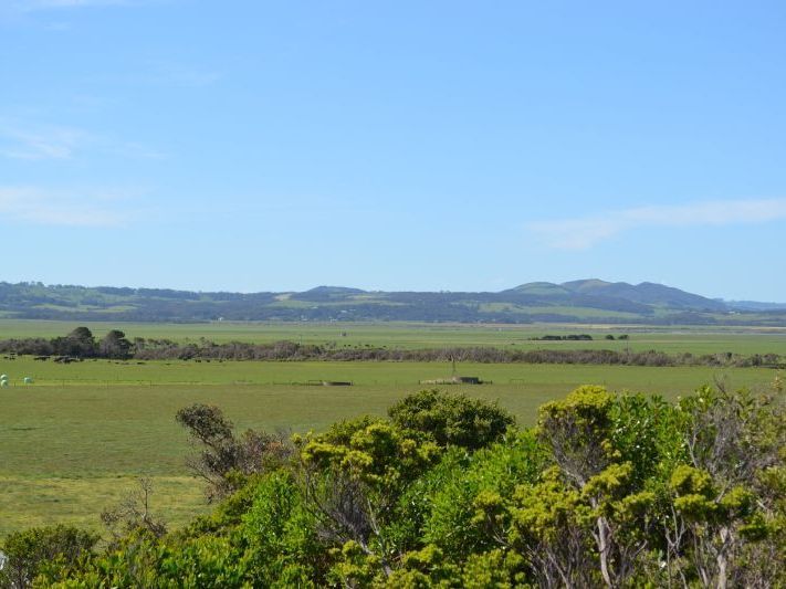 2 Beech Court, Sandy Point VIC 3959, Image 1