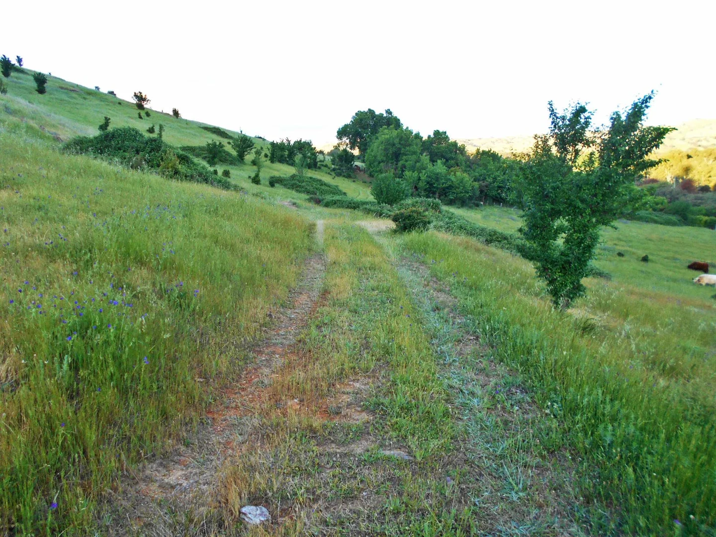 Image 22