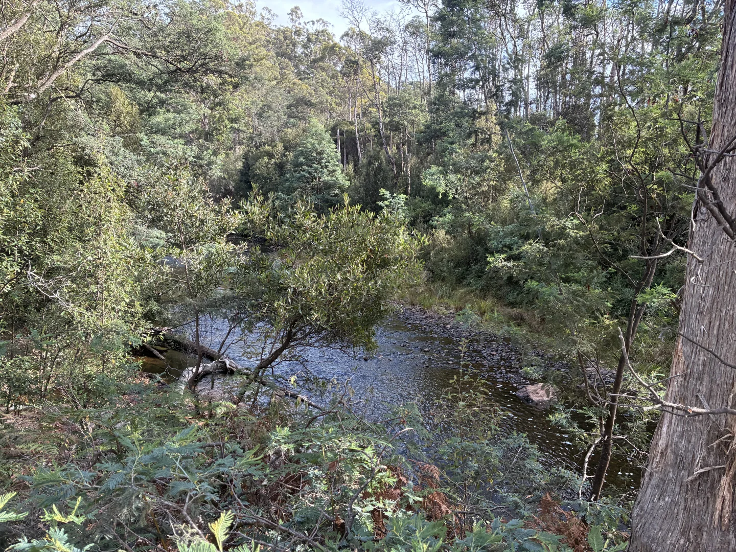 Additional image 11 of . Calder Road, Calder TAS 7325