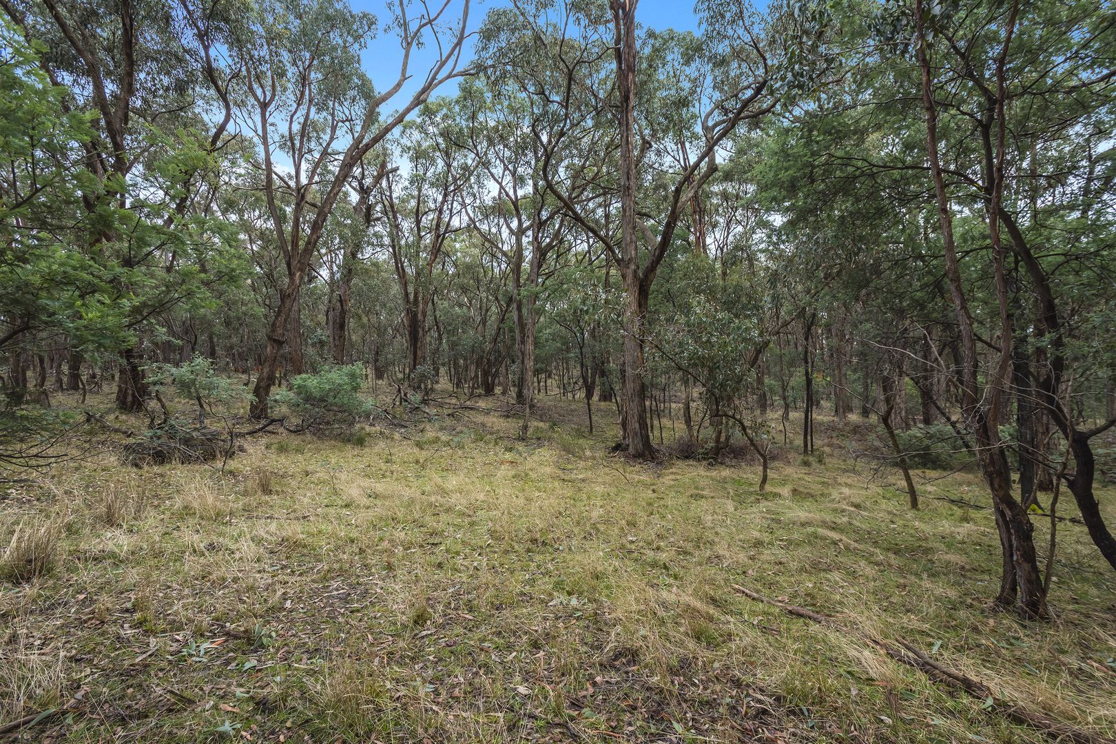 280 Scobles Road, Drummond VIC 3461, Image 2