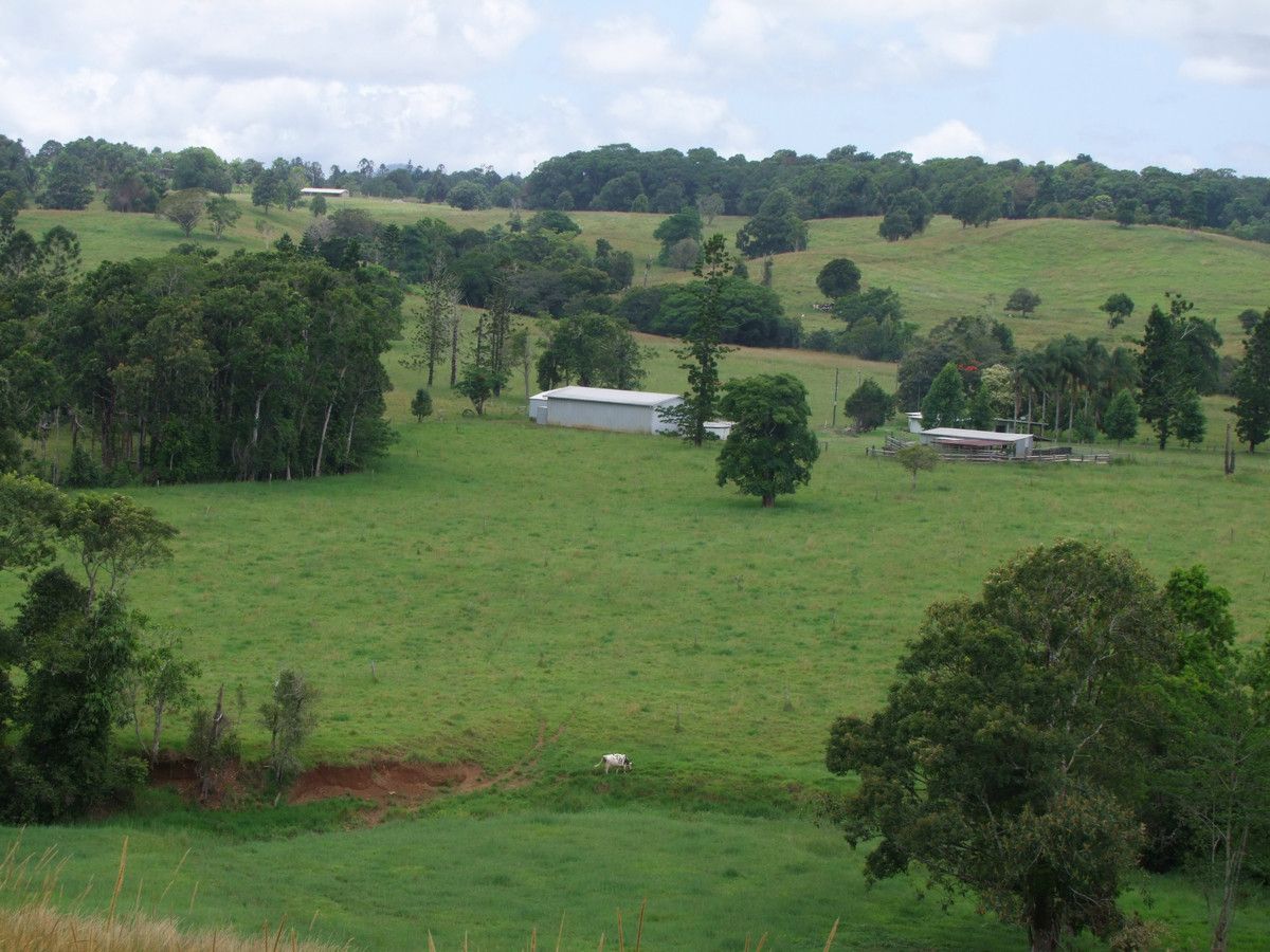 Millaa Millaa QLD 4886, Image 0