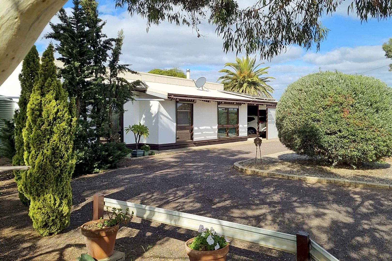 19 Barry Street, Cowell SA 5602, Image 0