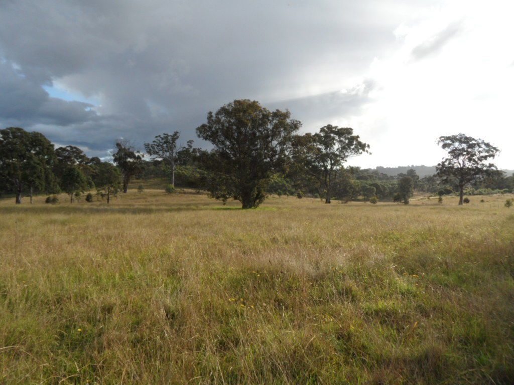 Lot 1 Cameron Road, Dalveen QLD 4374, Image 1