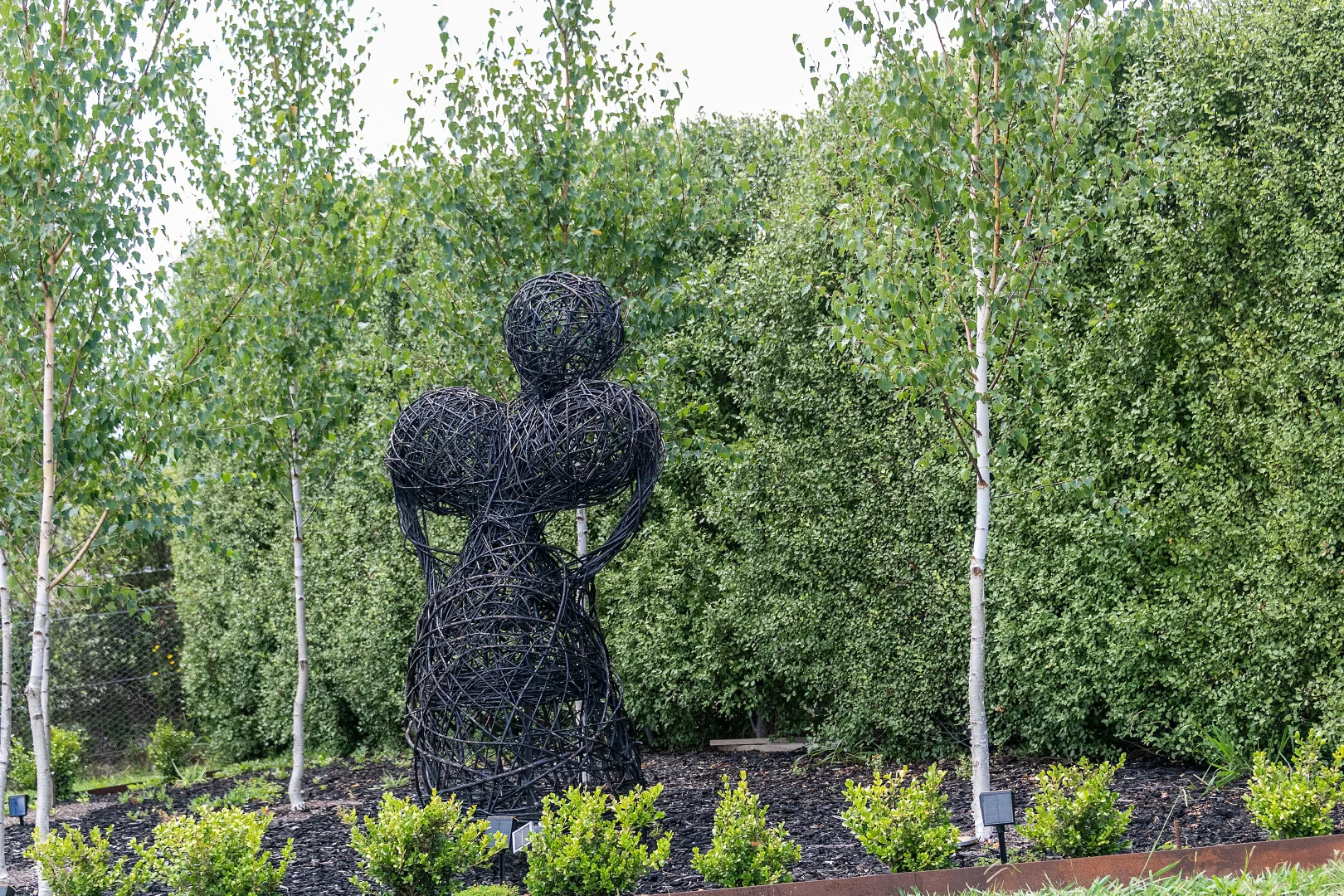 Image 23