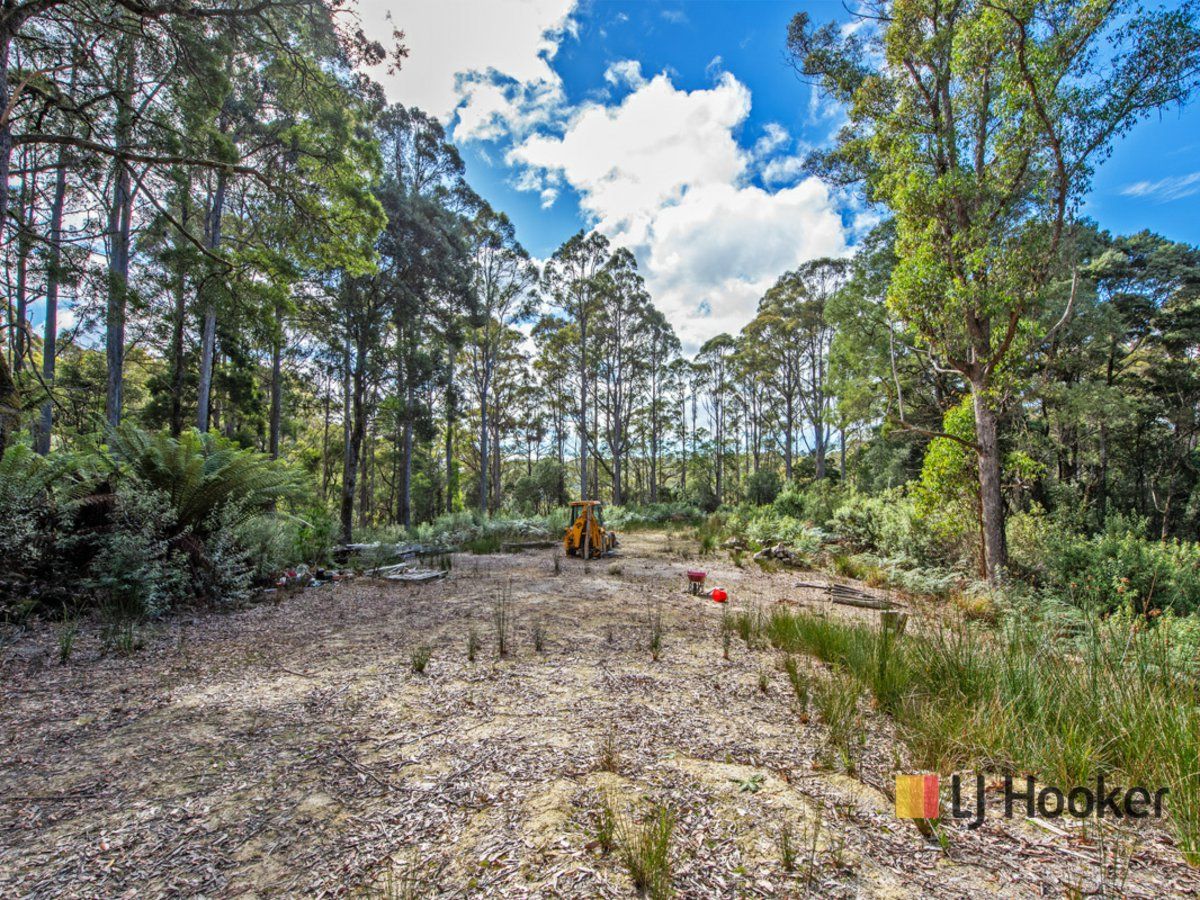 00 Deep Creek Road, Mount Hicks TAS 7325, Image 2