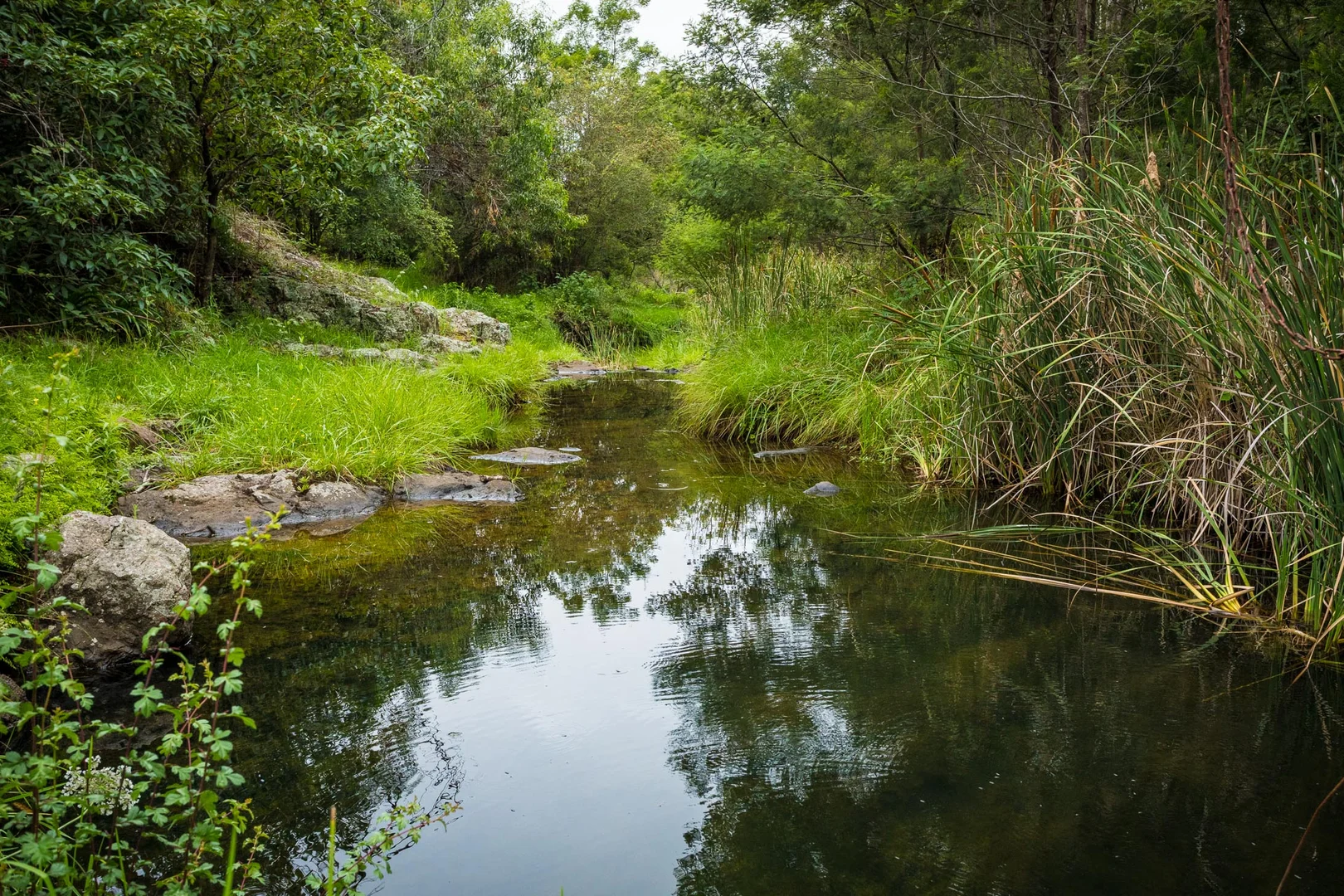 Additional image 55 of 286 Bald Hills Road, Bald Hills NSW 2549